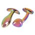 Set de Plugs Anales Metal Rainbow (2 pcs)