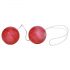 You2Toys - Rosas rojas - set vibrador (9 piezas)